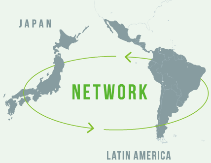 JAPAN | LATIN AMERICA | NETWORK